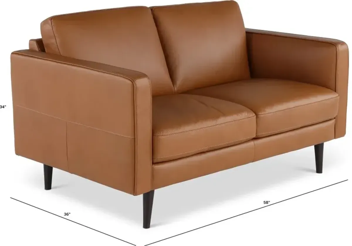 Destrezza Brown Leather Loveseat