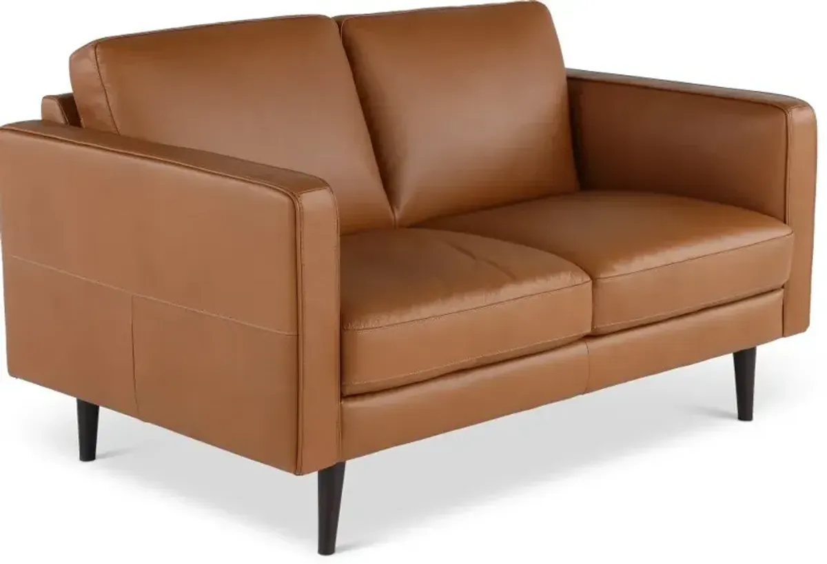 Destrezza Brown Leather Loveseat