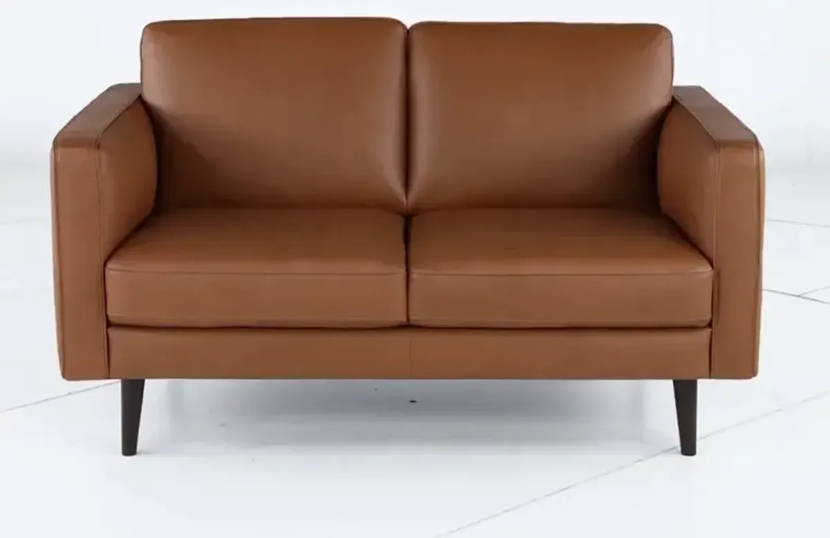 Destrezza Brown Leather Loveseat