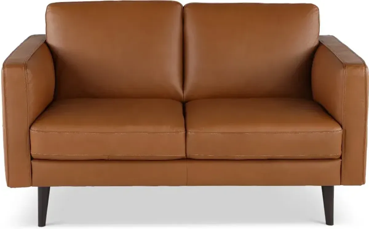 Destrezza Brown Leather Loveseat