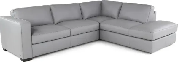 Copenhagen Gray Leather 2 Piece Sectional