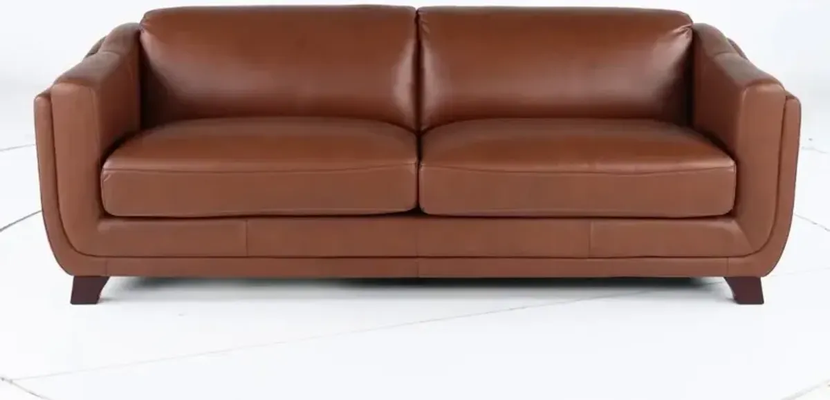 Omaha Brown Leather Sofa