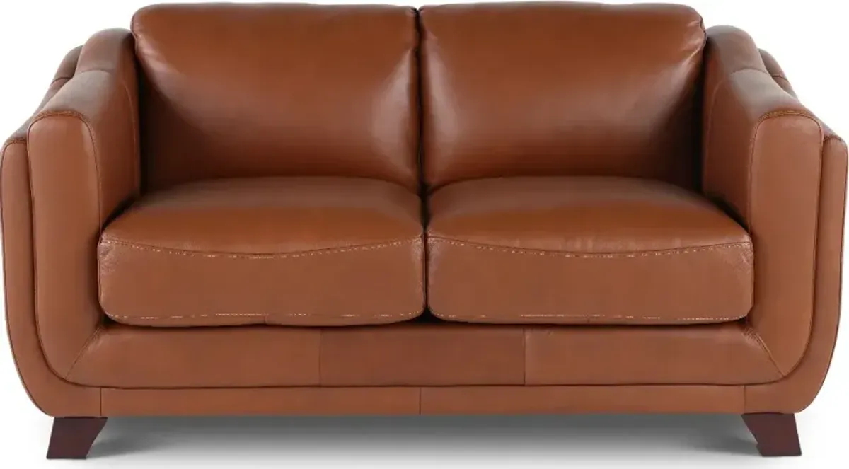 Omaha Brown Leather Loveseat