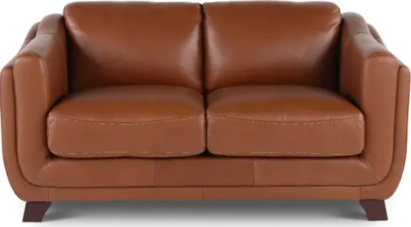 Omaha Brown Leather Loveseat