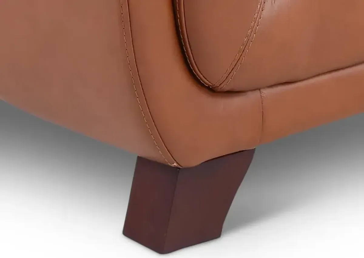 Omaha Brown Leather Chair