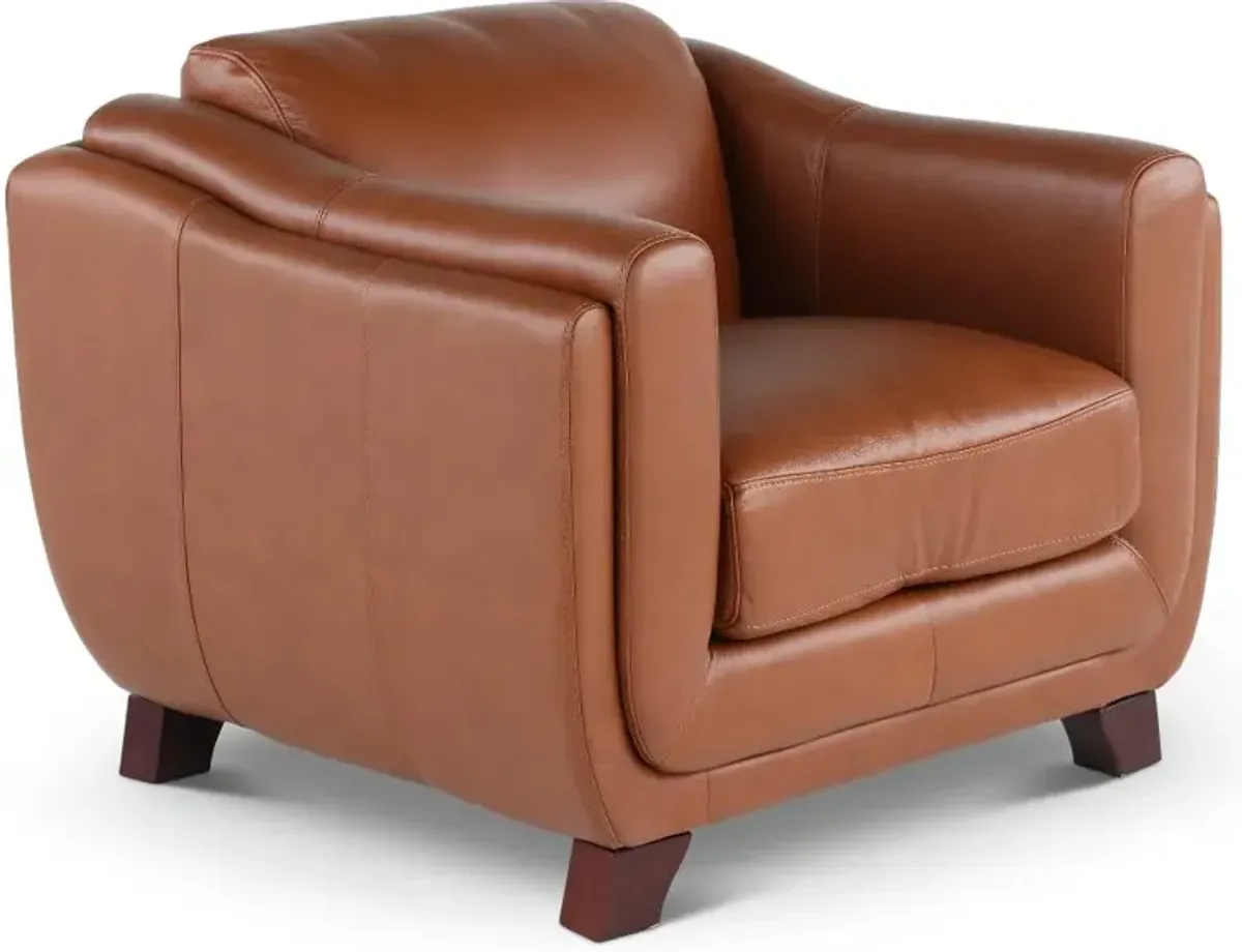 Omaha Brown Leather Chair