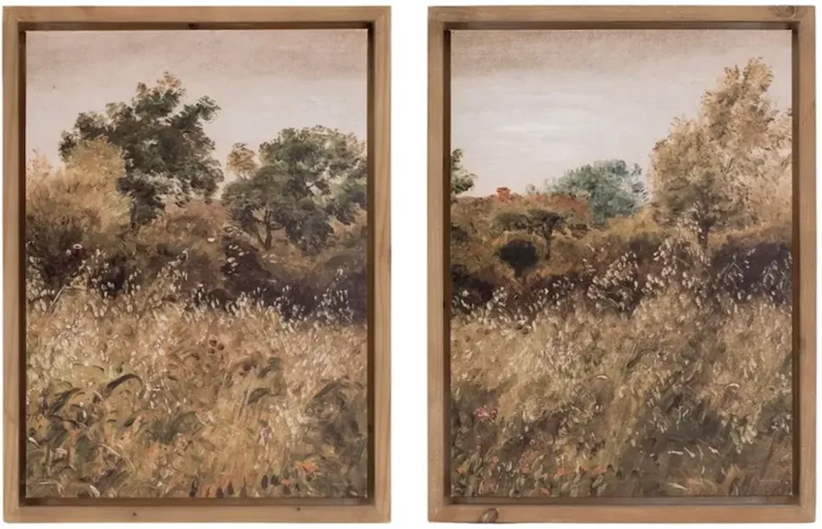 21 Inch Nature Framed Art