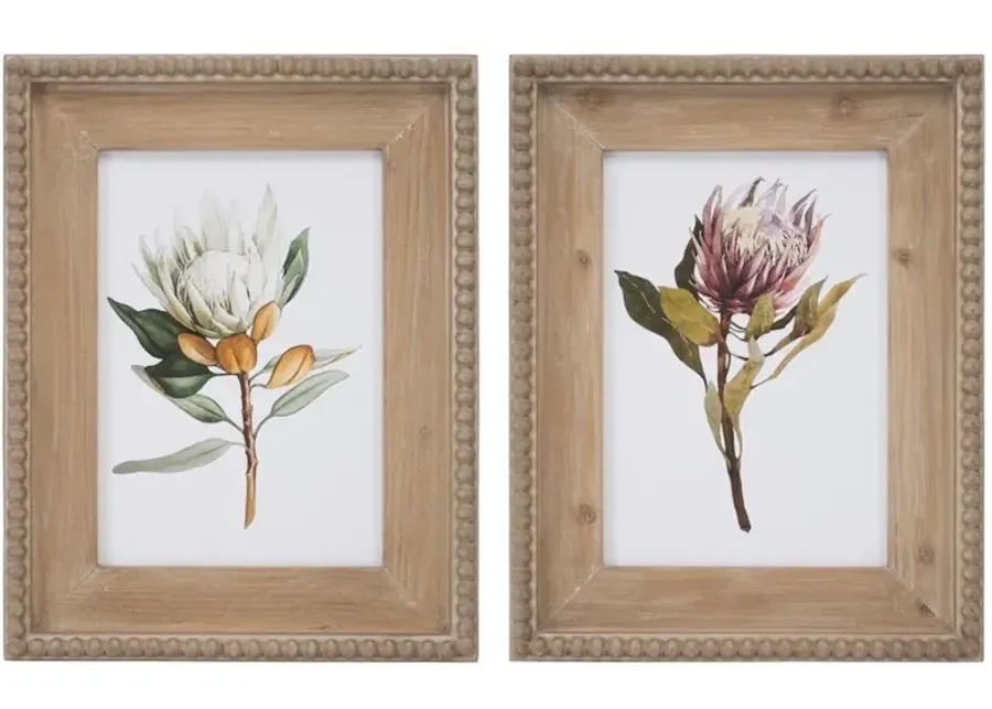 Assorted Protea Floral Print with Wood Frame