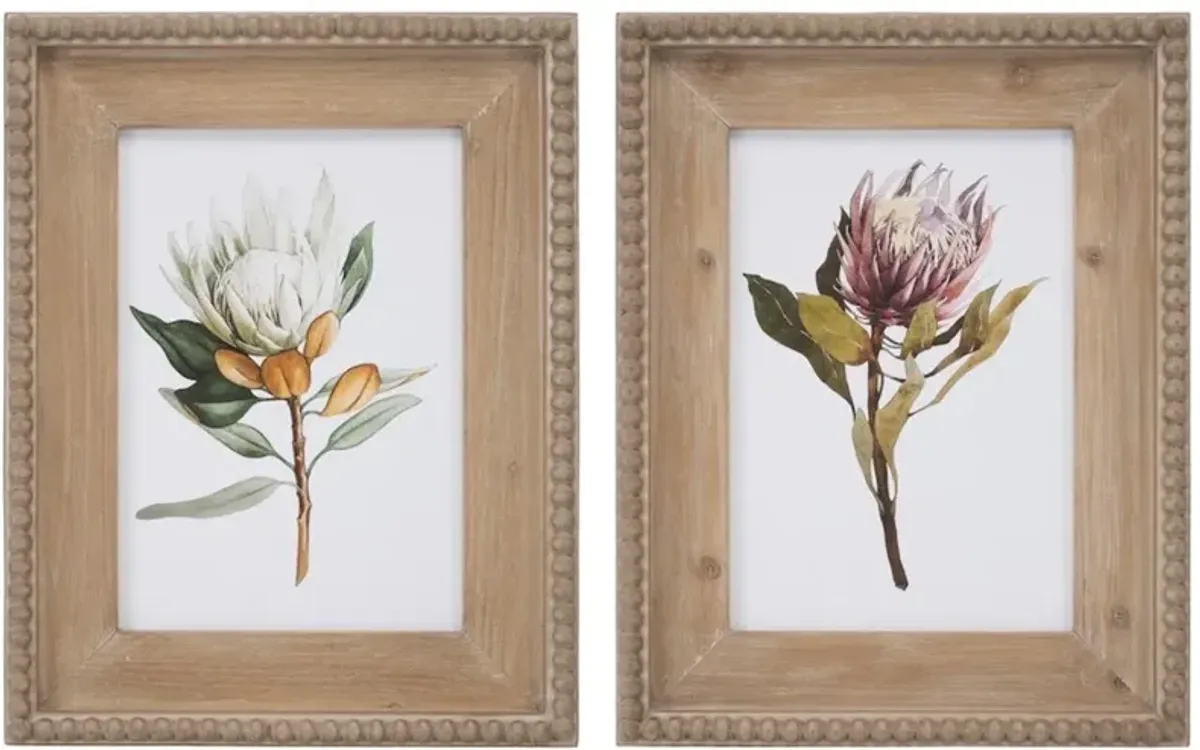 Assorted Protea Floral Print with Wood Frame