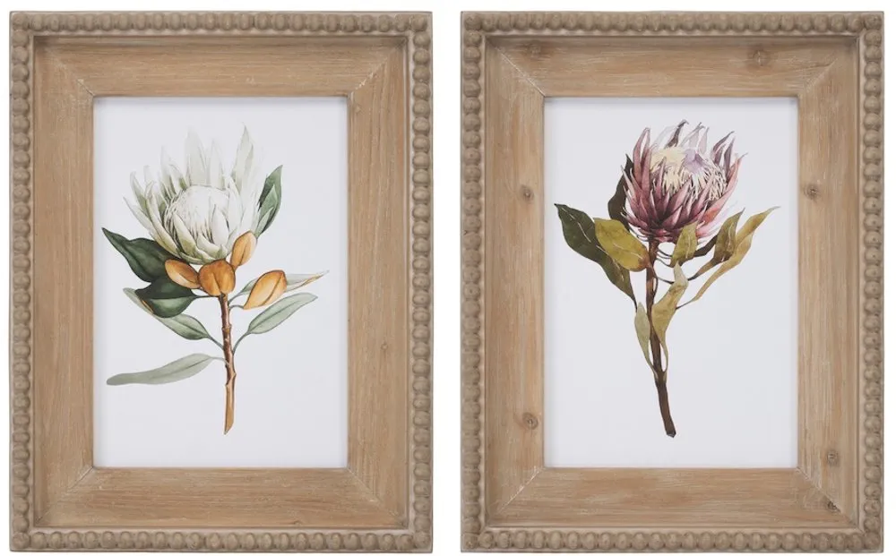 Assorted Protea Floral Print with Wood Frame