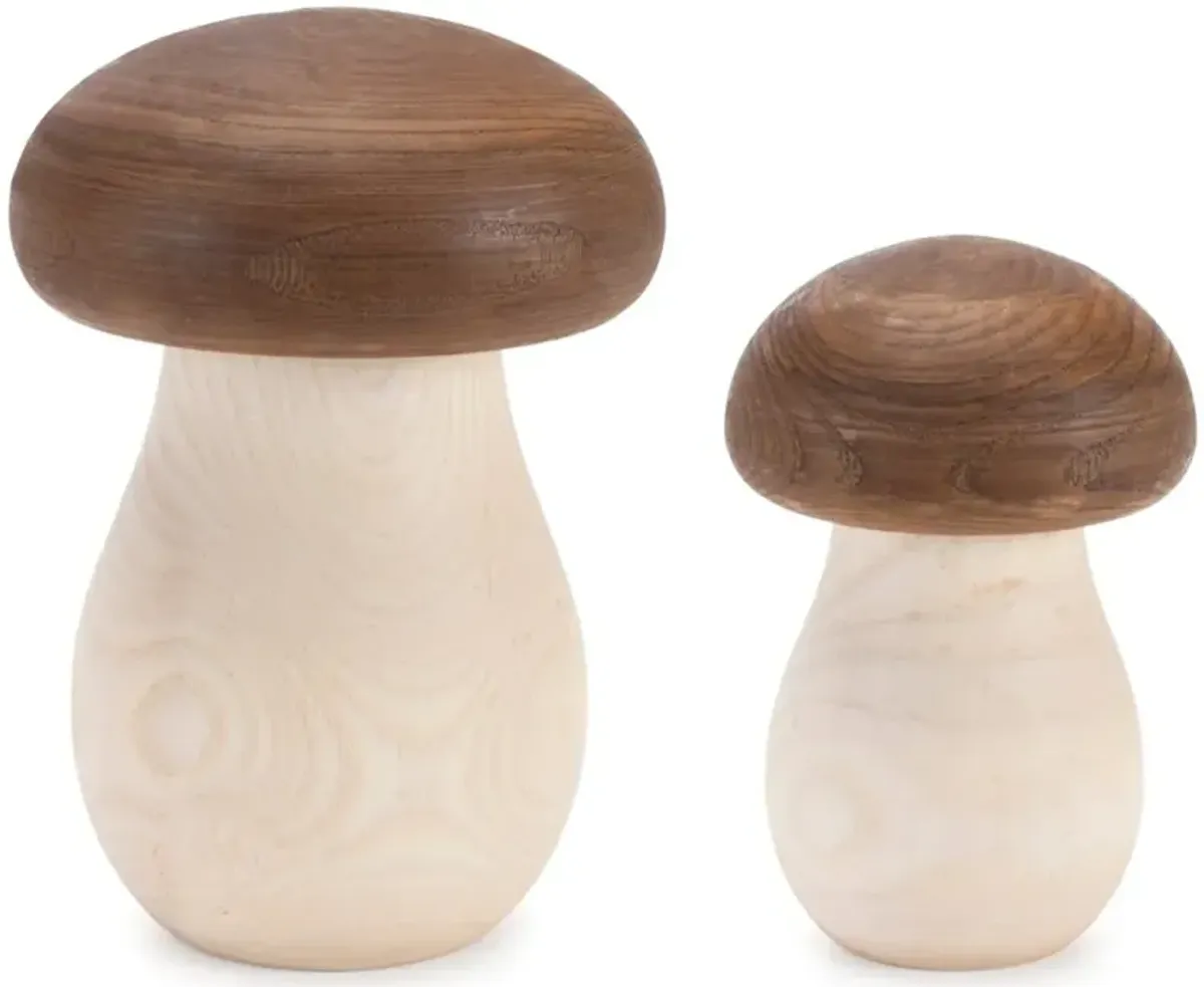 Large 6.75 Inch Wood Mushroom Box