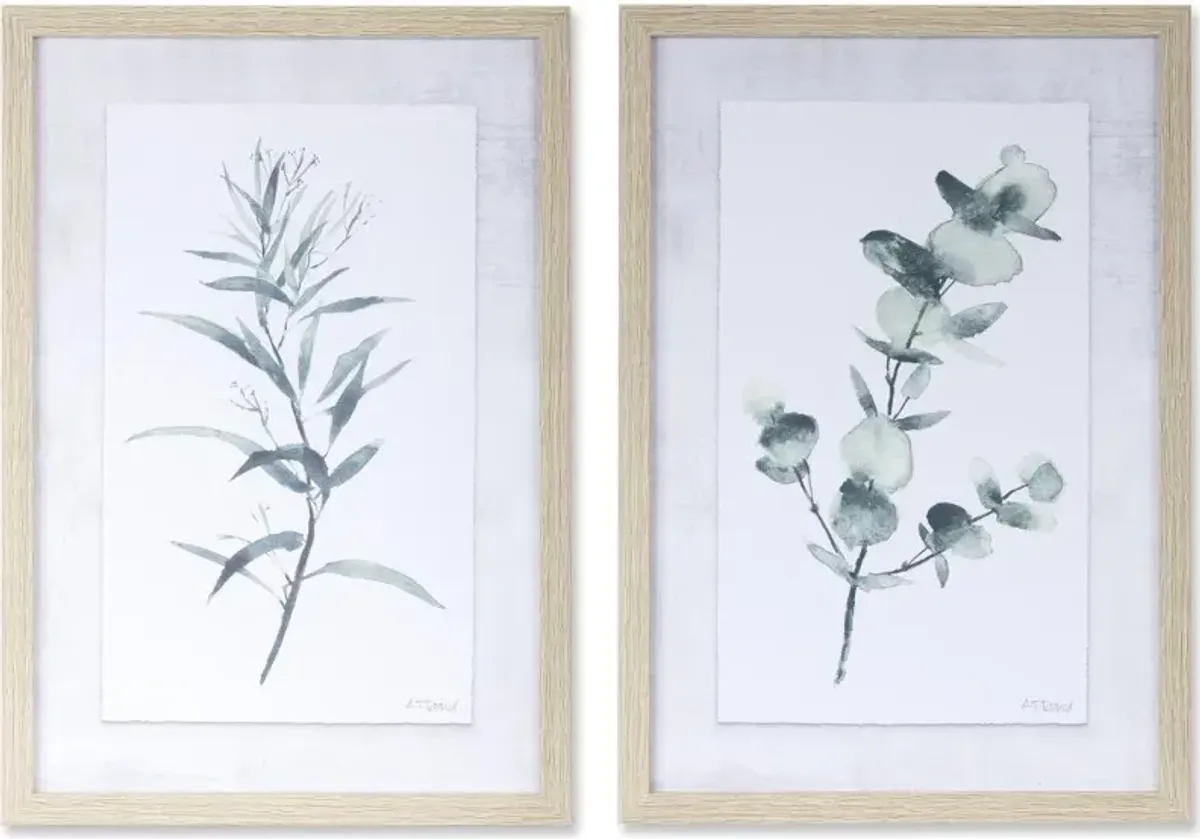 Assorted Eucalyptus Framed Art