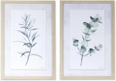 Assorted Eucalyptus Framed Art