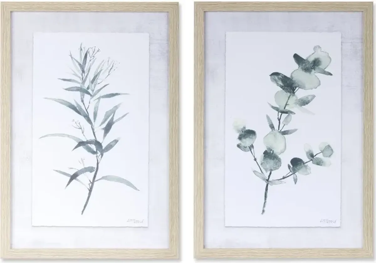 Assorted Eucalyptus Framed Art