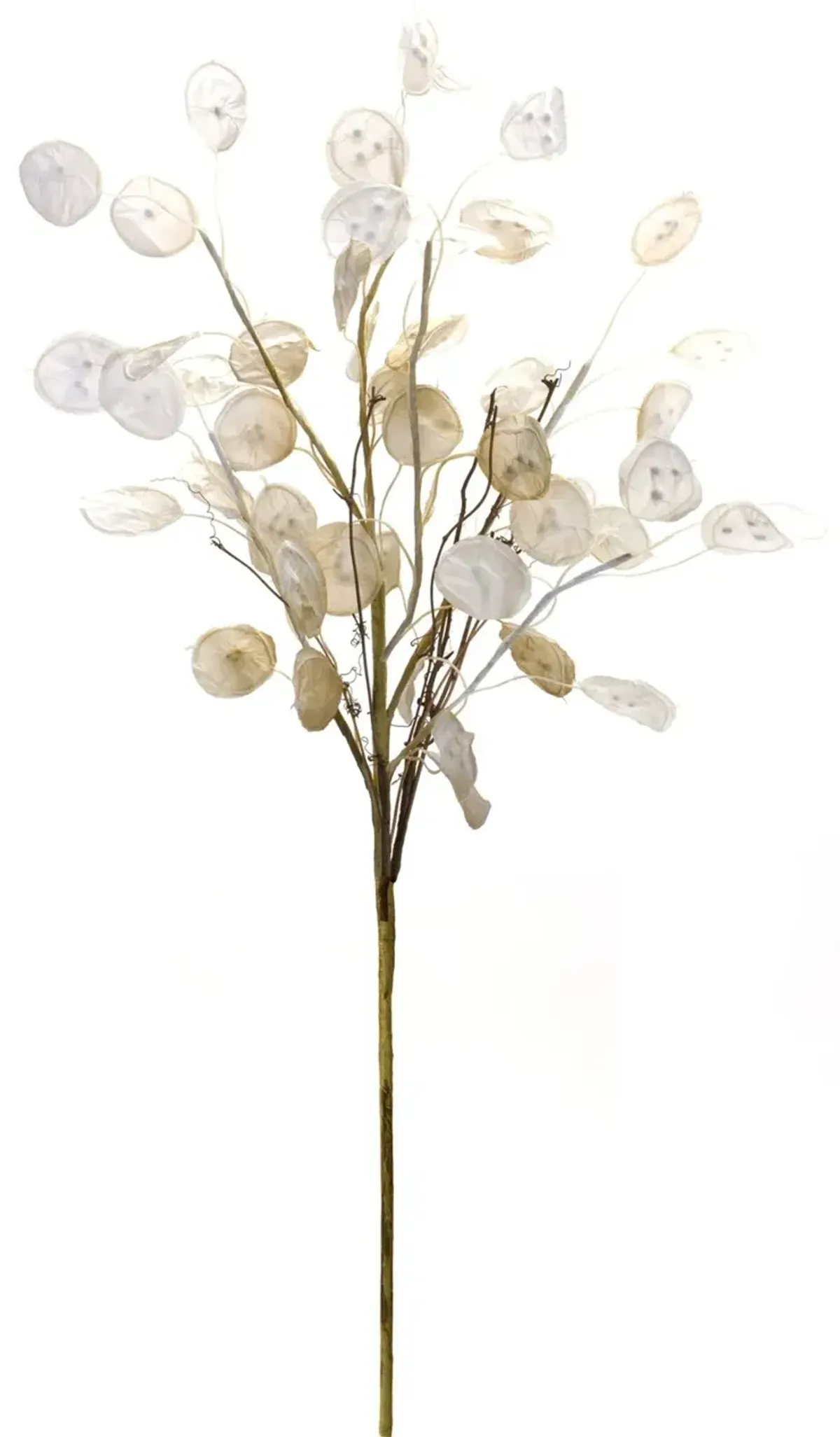 31.5" Silver Dollar Stem Spray