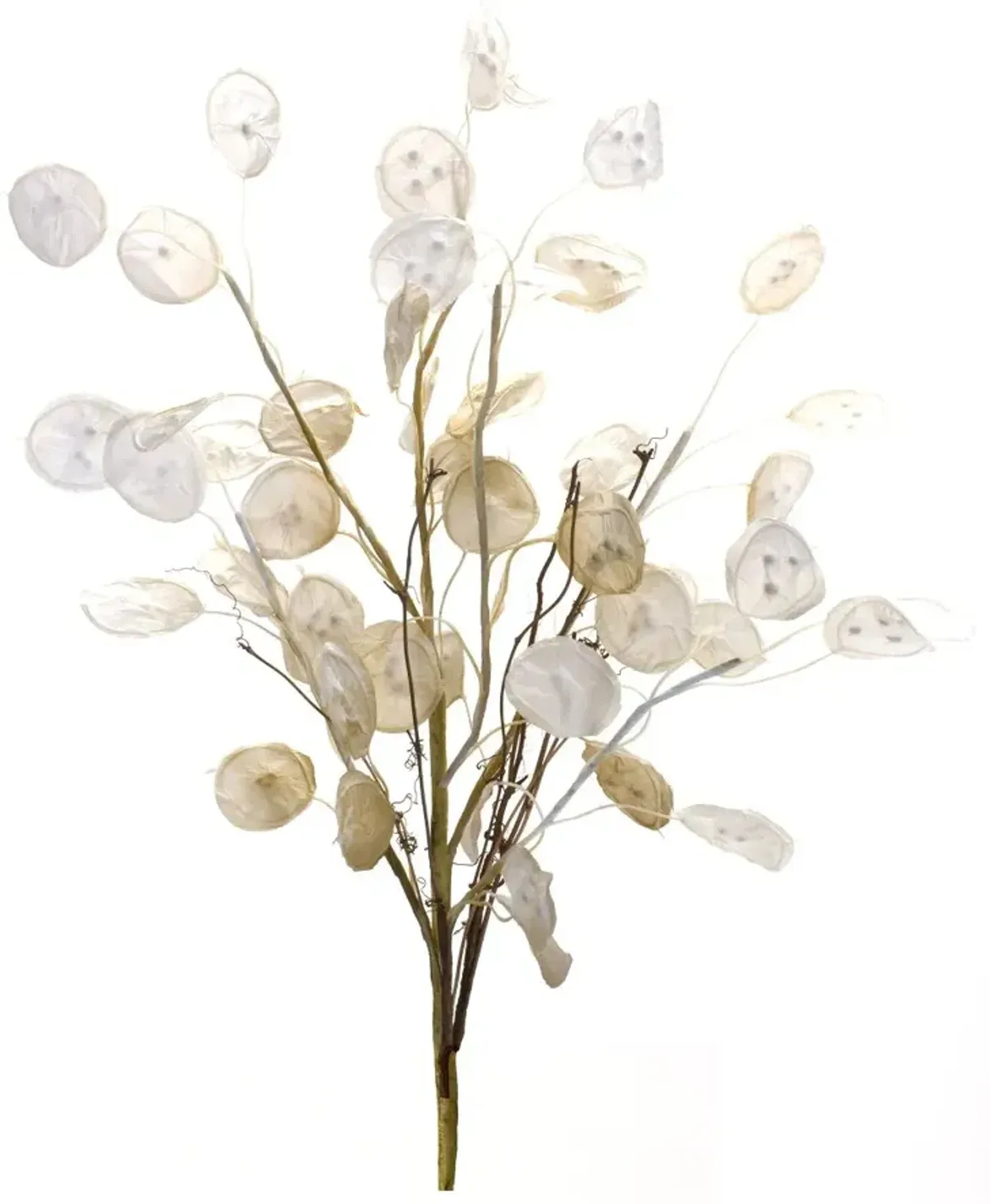 31.5" Silver Dollar Stem Spray