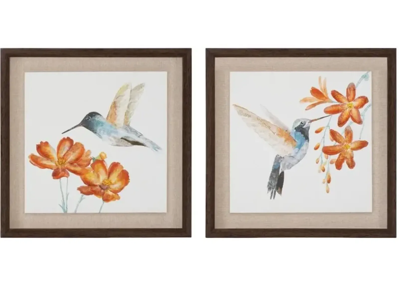 Assorted 12 Inch Hummingbird Print