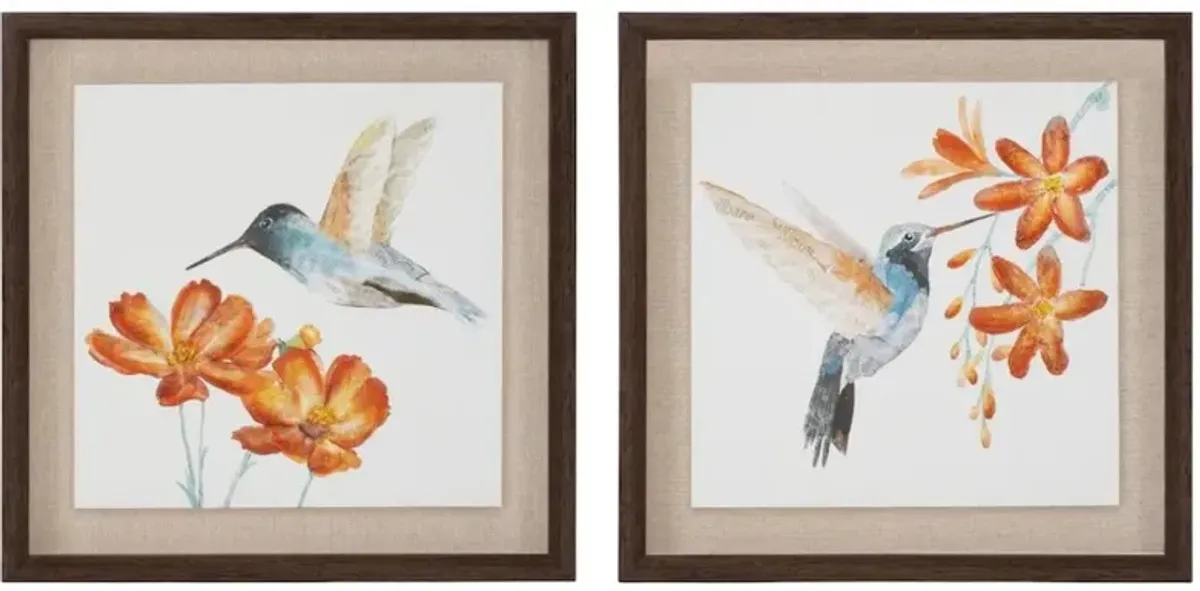 Assorted 12 Inch Hummingbird Print