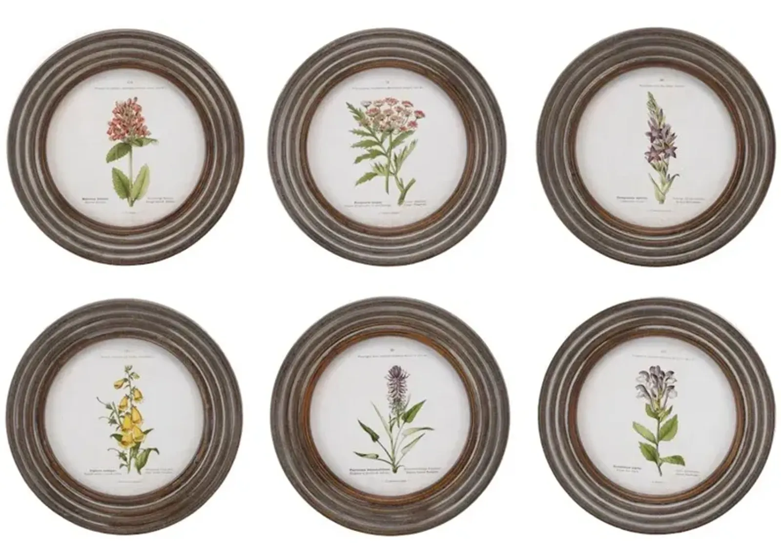 Assorted Wood Framed Floral Prints