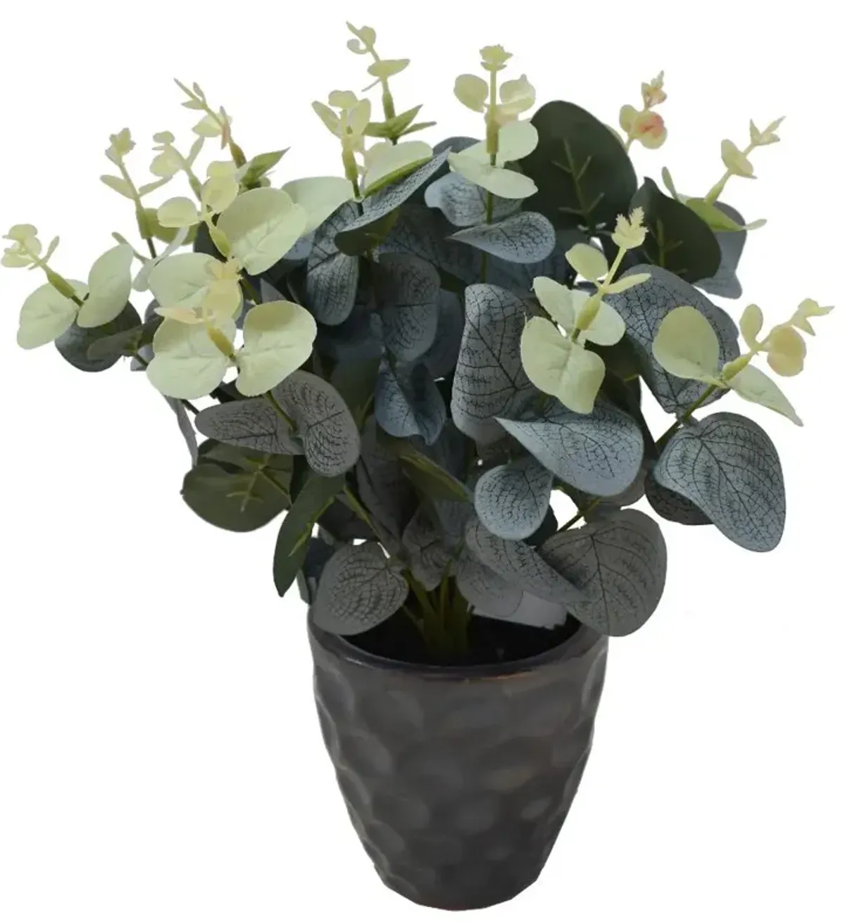 Eucalyptus in Hammered Ceramic Pot