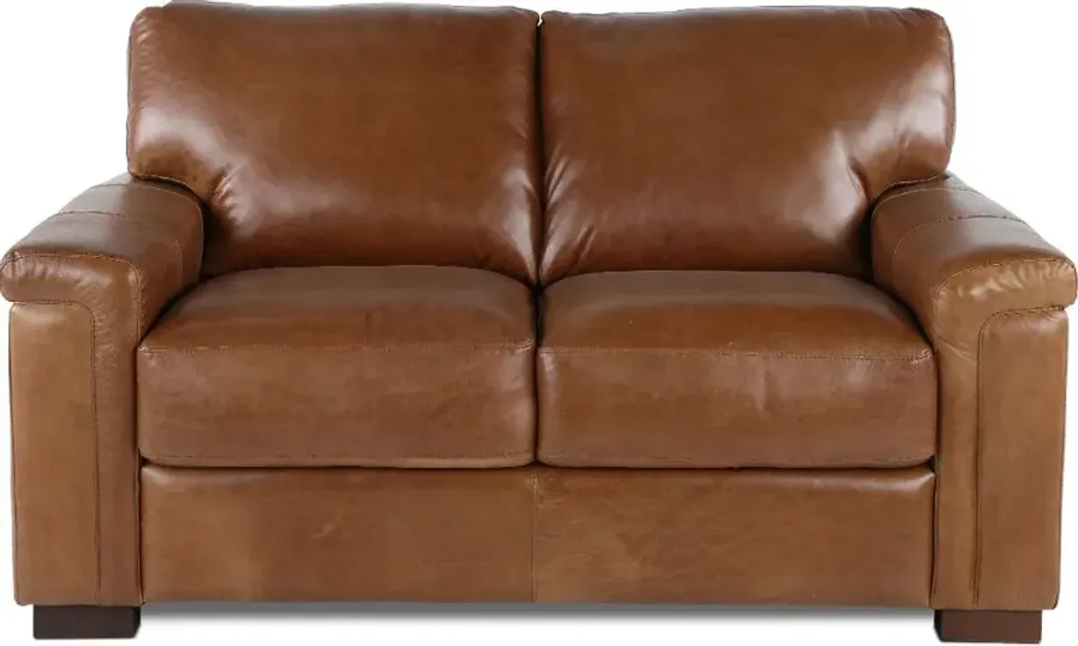 Splendor Brown Leather Loveseat