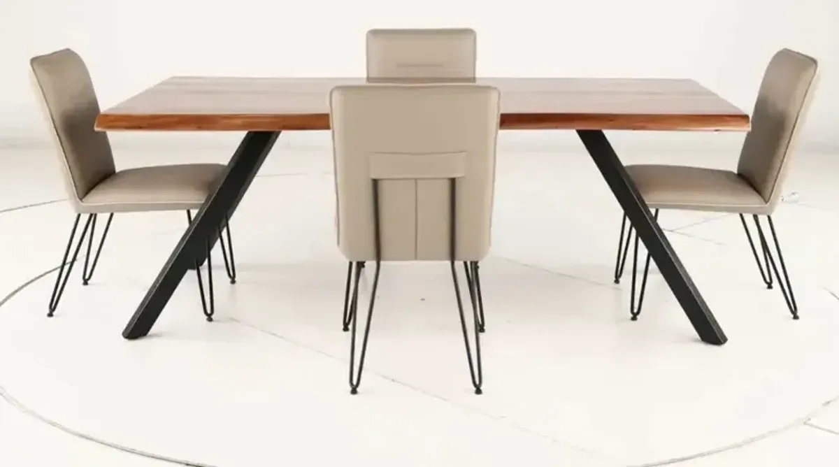 Reese Natural Acacia and Taupe 5 Piece Dining Set