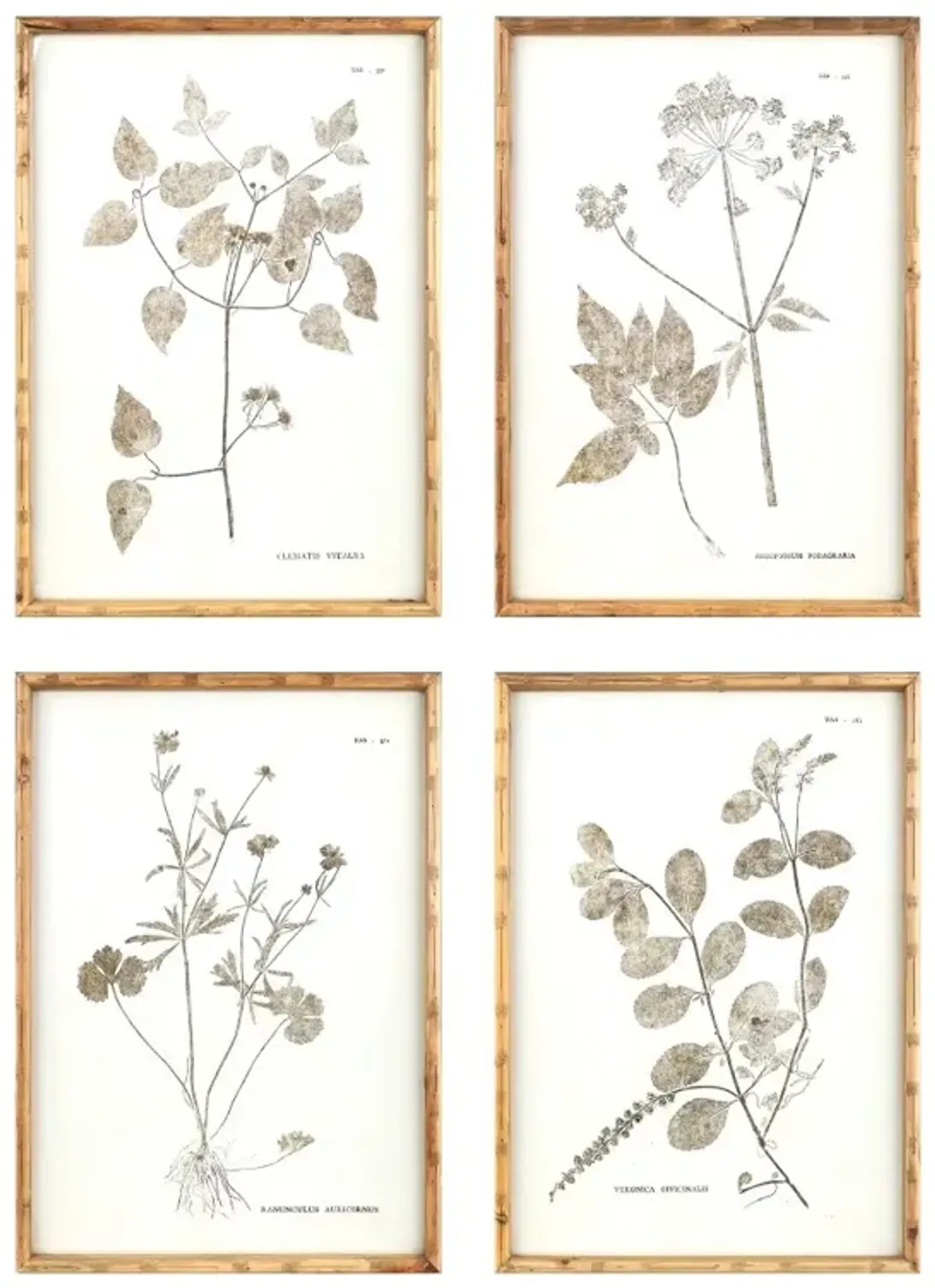 Assorted Floral Wood and Paper Print