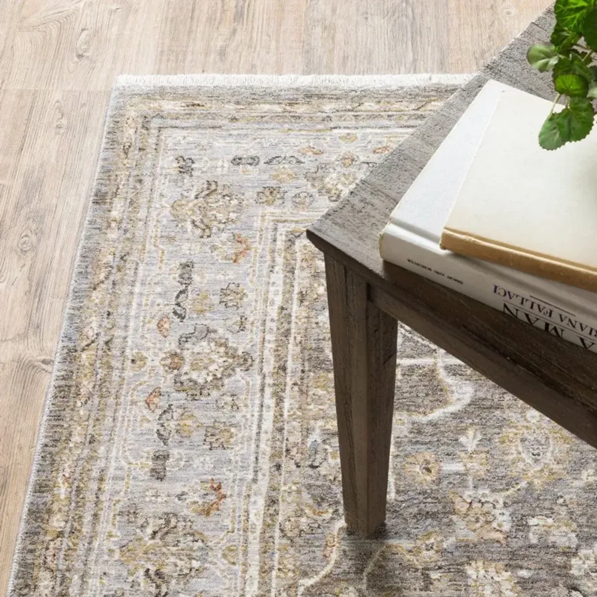 Maharaja 5 x 8 Gray and Gold Area Rug