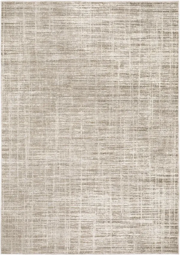 Nebulous 5 x 8 Modern Beige Area Rug