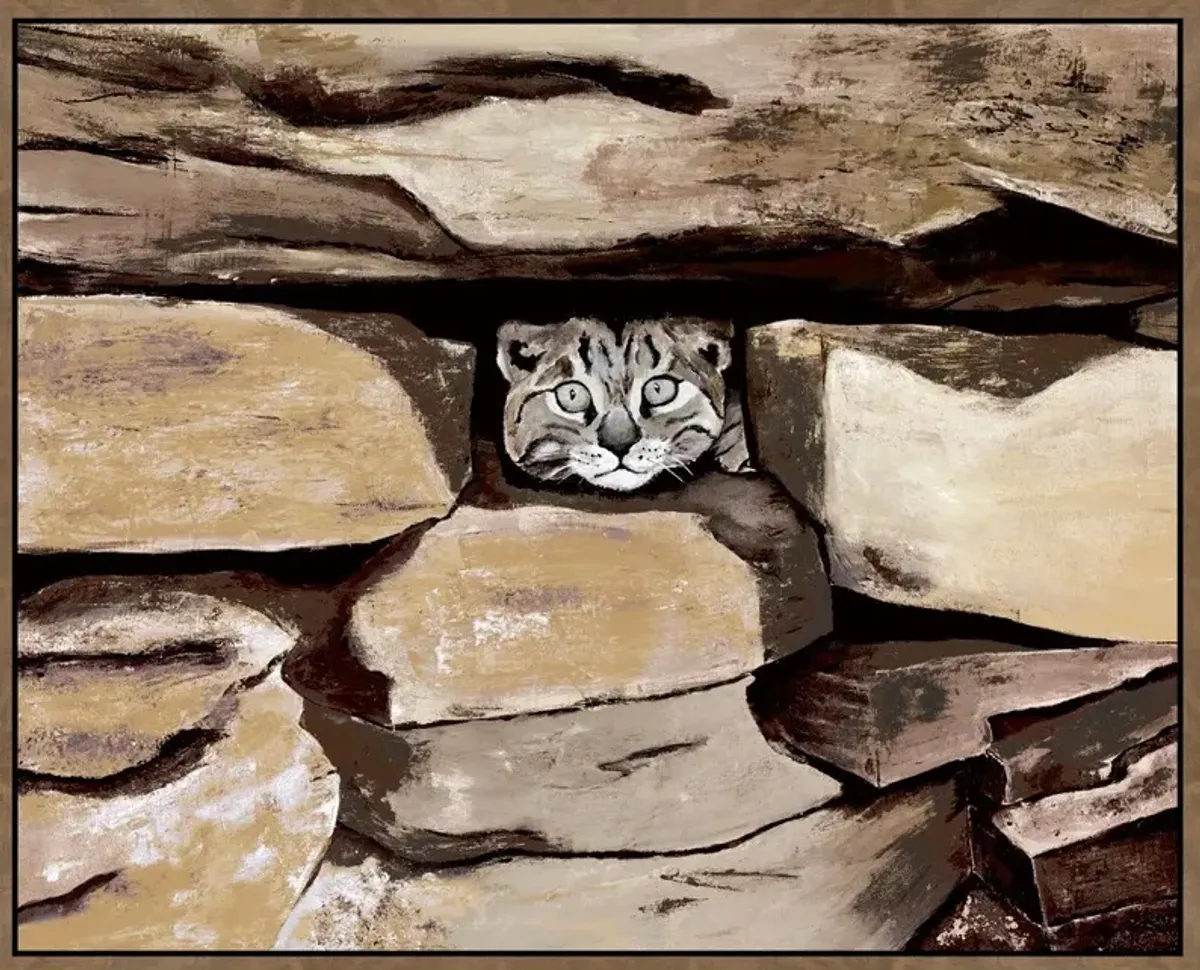 Cat Hiding Spot Framed Art