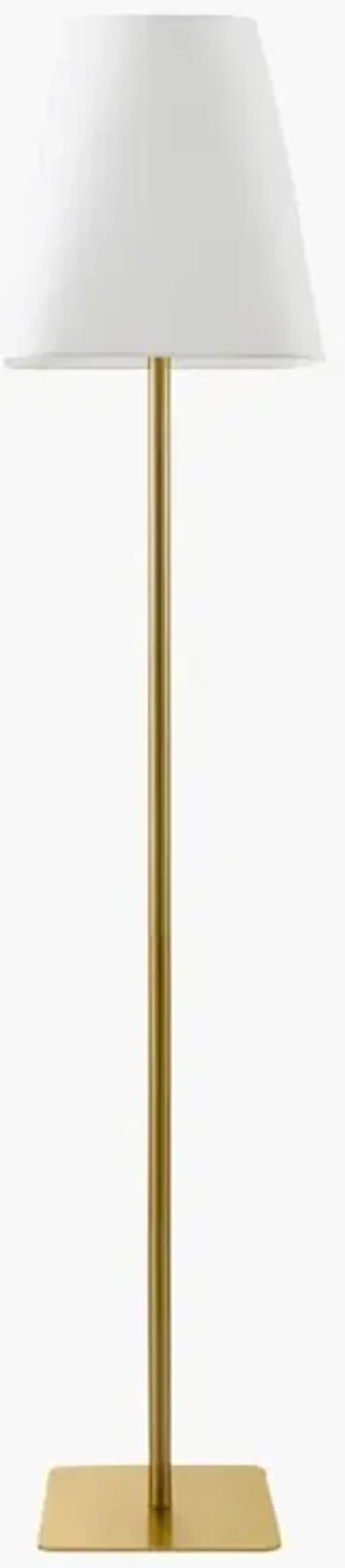 Pique Brass Accent Floor Lamp