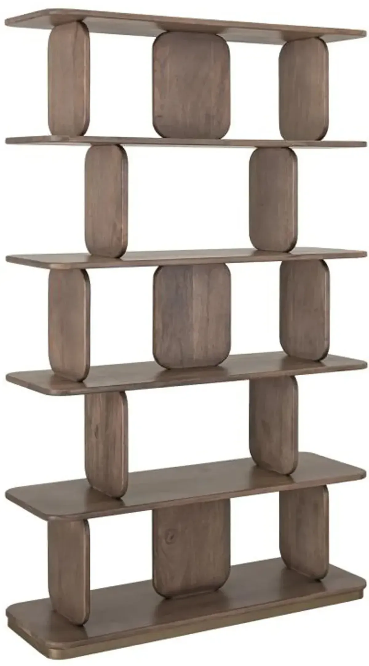 Mezquite Bookcase