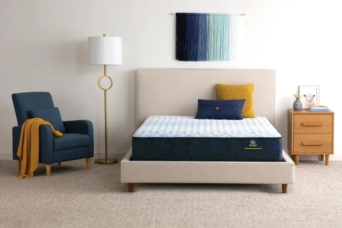 Serta Classic Bader Medium Full Mattress