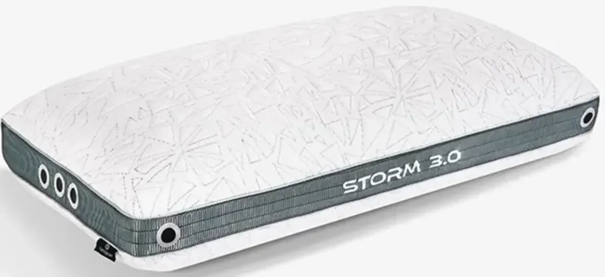 BedGear Storm Performance 3.0 King Pillow