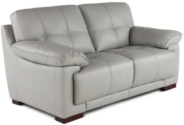 Baron Gray Leather Loveseat