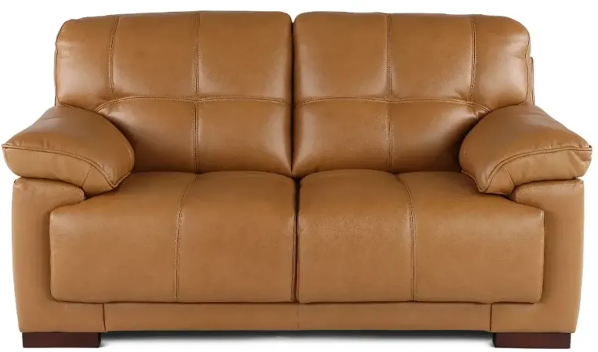 Baron Toffee Brown Leather Loveseat