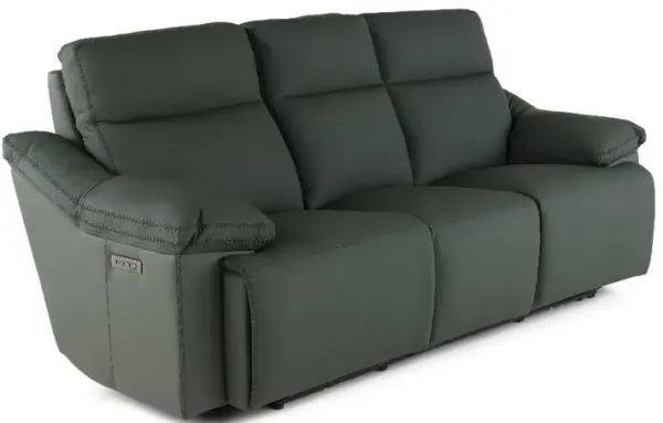 Istanbul Dark Green Leather Power Reclining Sofa with Power Headrests