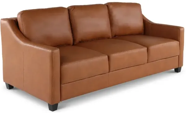 Joy Palomino Brown Leather King Sofa Bed