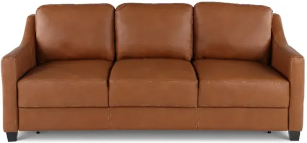 Joy Palomino Brown Leather King Sofa Bed