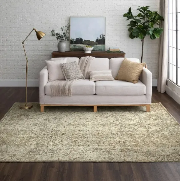 Divina 5 x 8 Sanctum Cream Area Rug