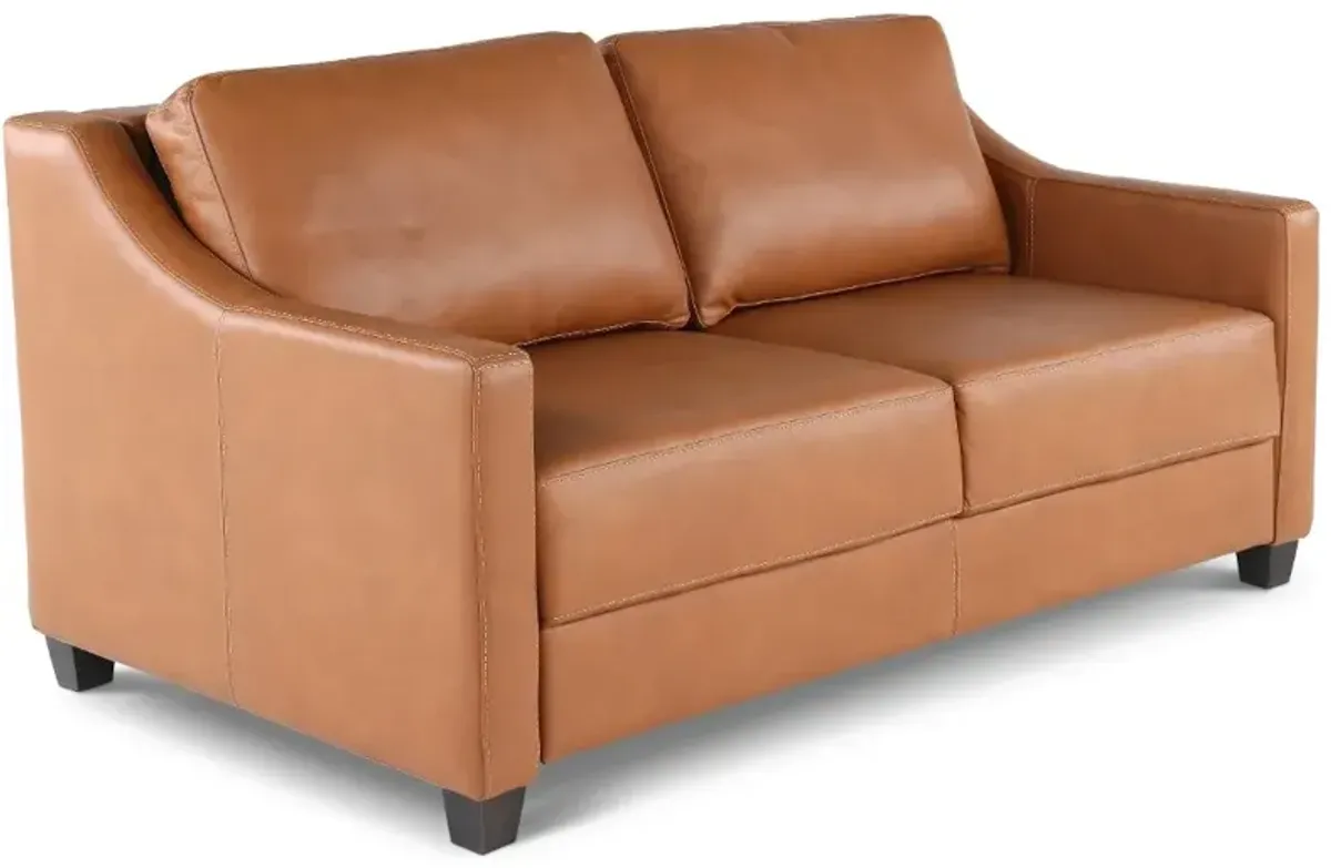 Joy Palomino Brown Leather Queen Sofa Bed