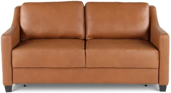 Joy Palomino Brown Leather Queen Sofa Bed