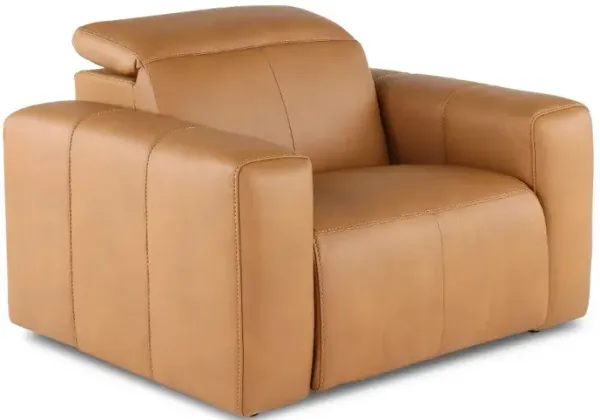 Airy Antelope Brown Power Recliner