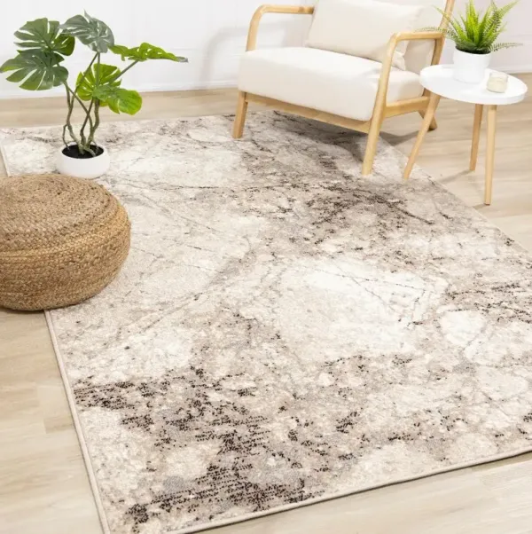 Century 5 x 8 Marbled Beige Area Rug