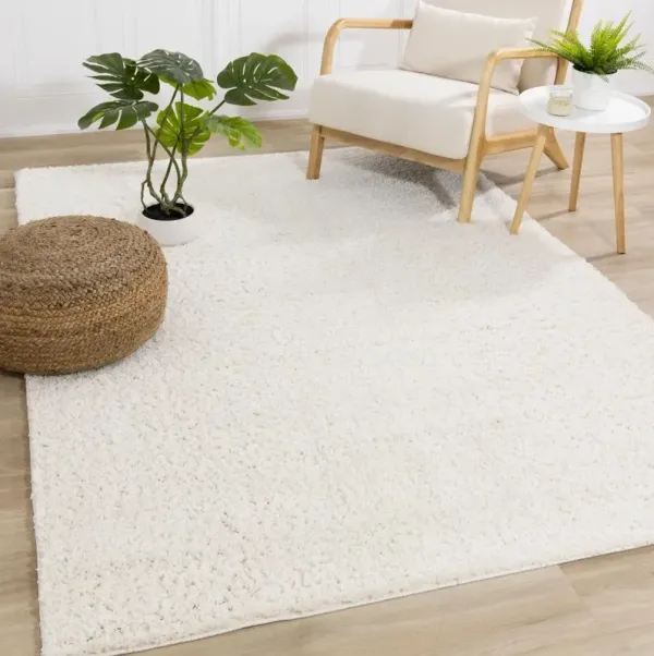 Pascal White 8 x 11 Shag Area Rug