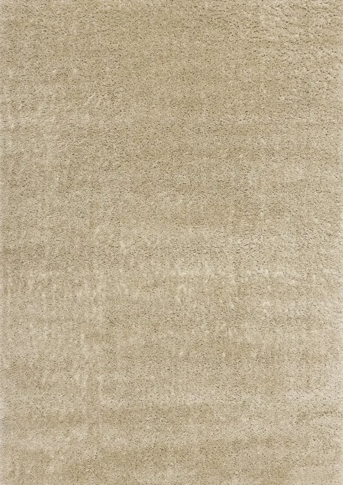 Pascal Beige 5 x 8 Shag Area Rug