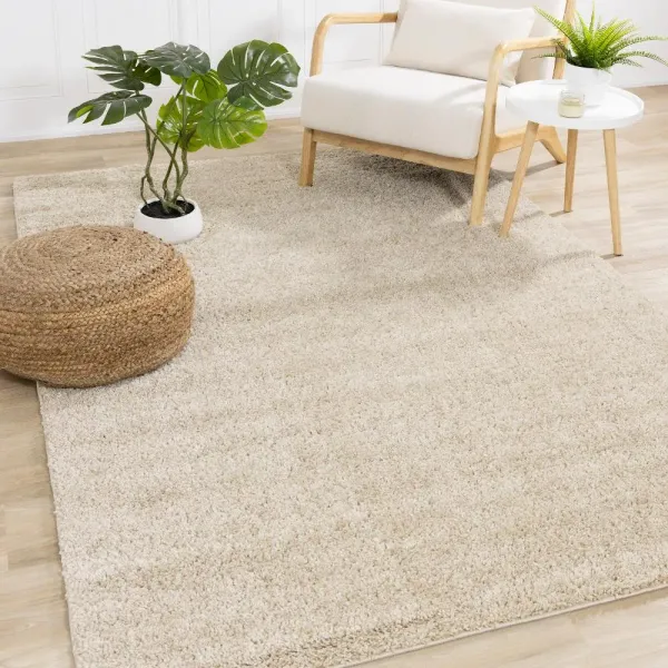 Pascal Beige 7 x 10 Shag Area Rug