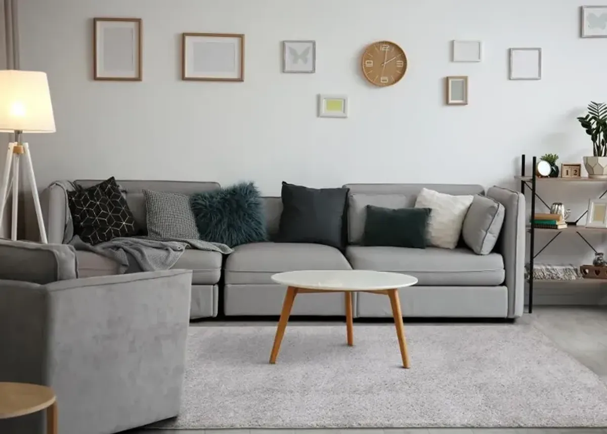 Pascal Gray 5 x 8 Shag Area Rug