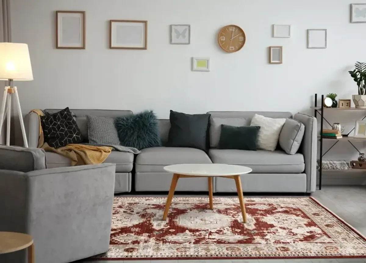 Serene Red and Cream 5 x 8 Area Rug