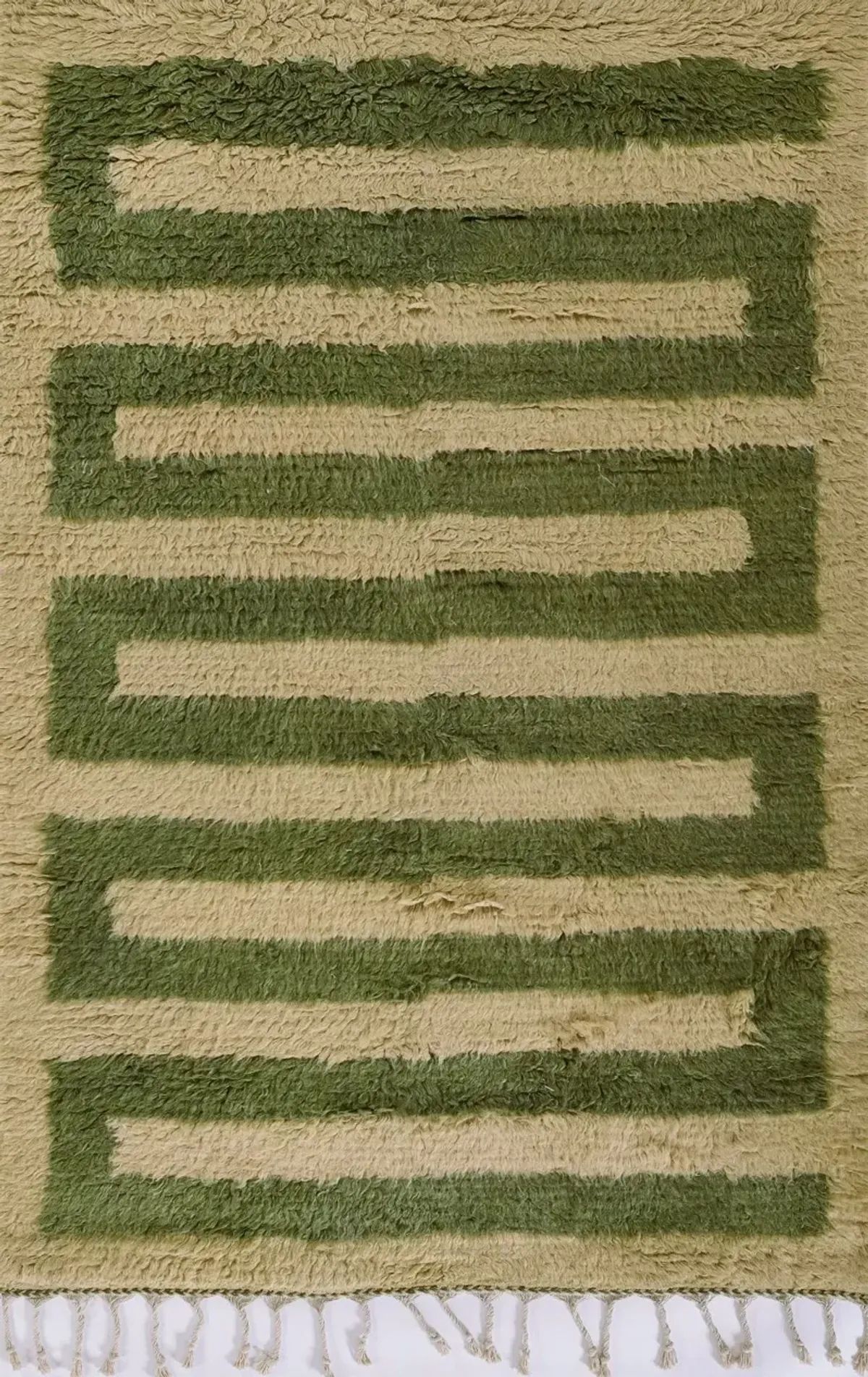 Neo 5 x 8 Moroccan Green Area Rug
